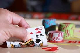 wild bet