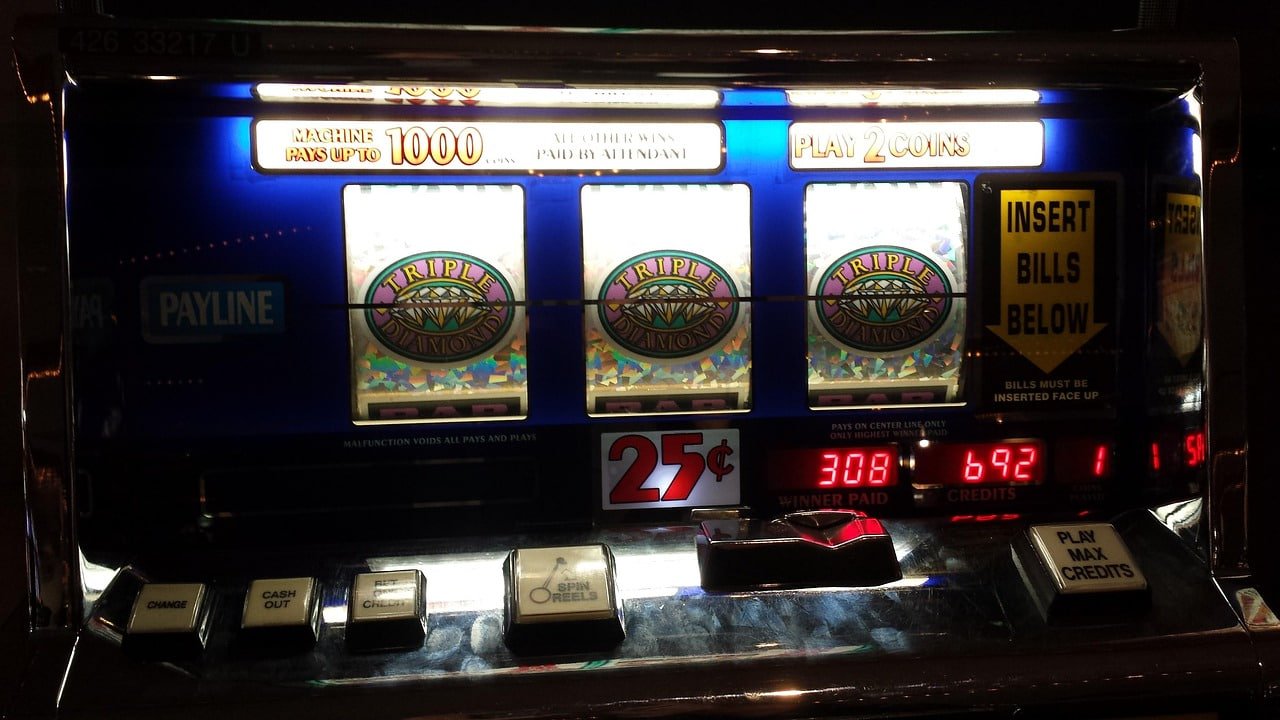 wild bet